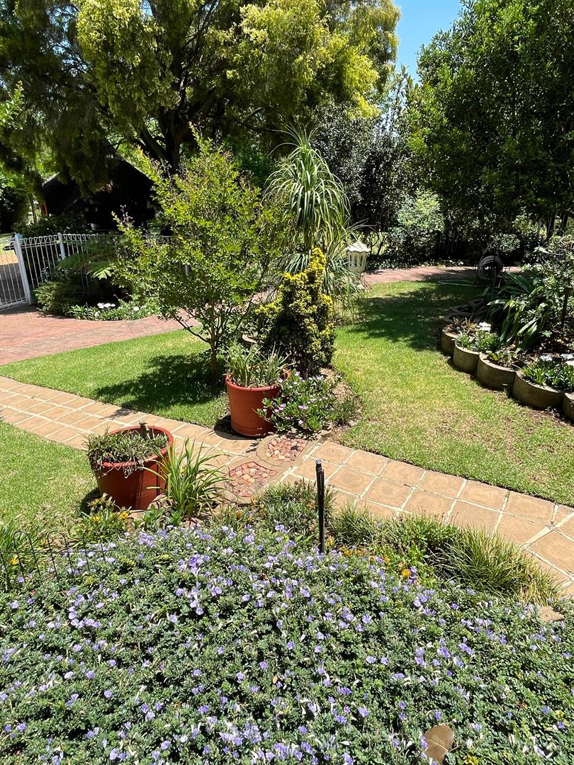 Luxury backyard pool and garden with family